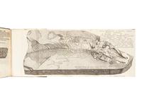 SCHEUCHZER, Johann Jakob (1672-1733). Piscium querelae et vindiciae . Zürich: Sumptibus authoris, typis Gessnerianis, 1708.