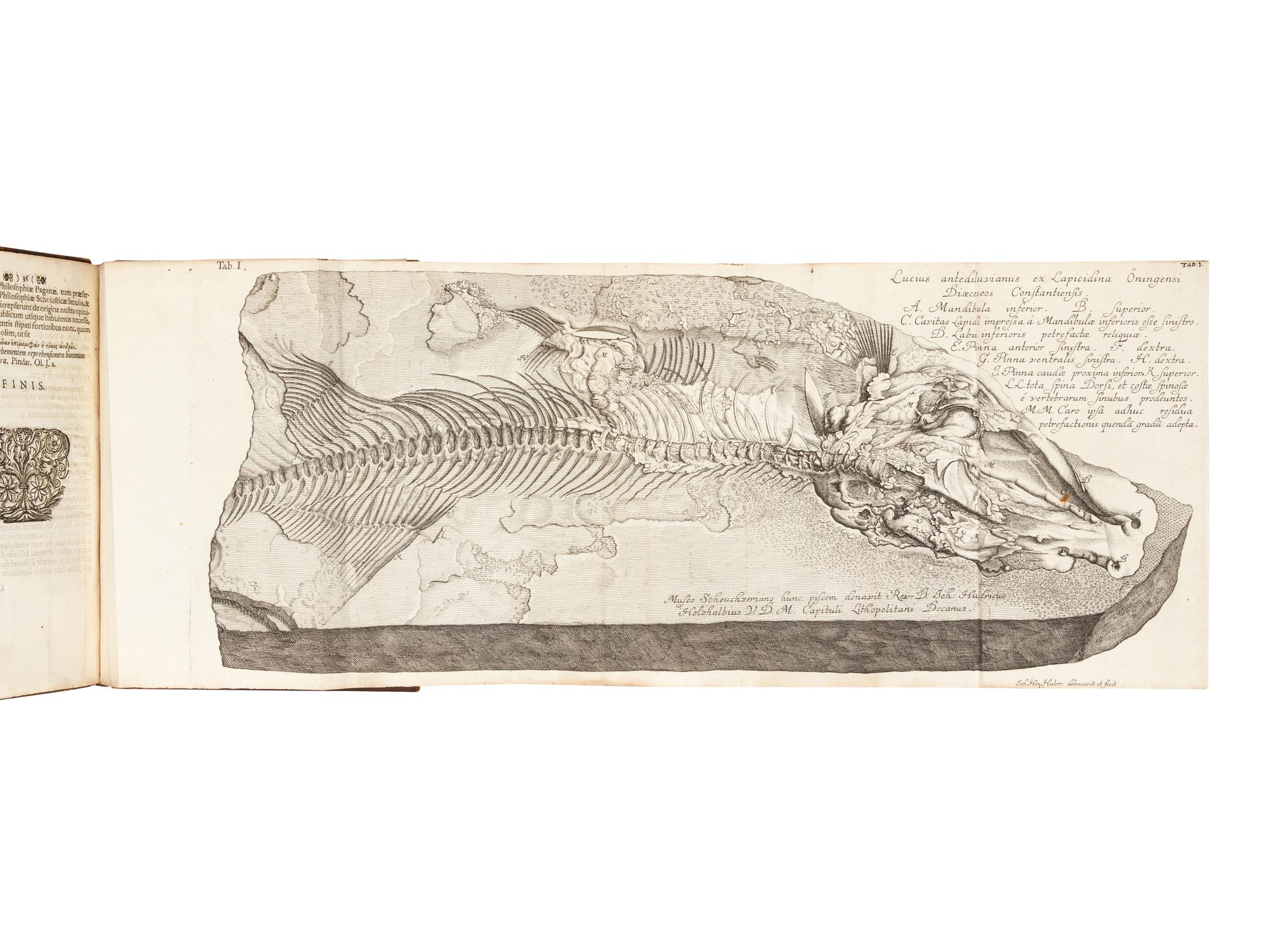 SCHEUCHZER, Johann Jakob (1672-1733). Piscium querelae et vindiciae . Zürich: Sumptibus authoris, typis Gessnerianis, 1708.