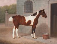 Edwin Brown, (English, 1814-1891), J.A.C.