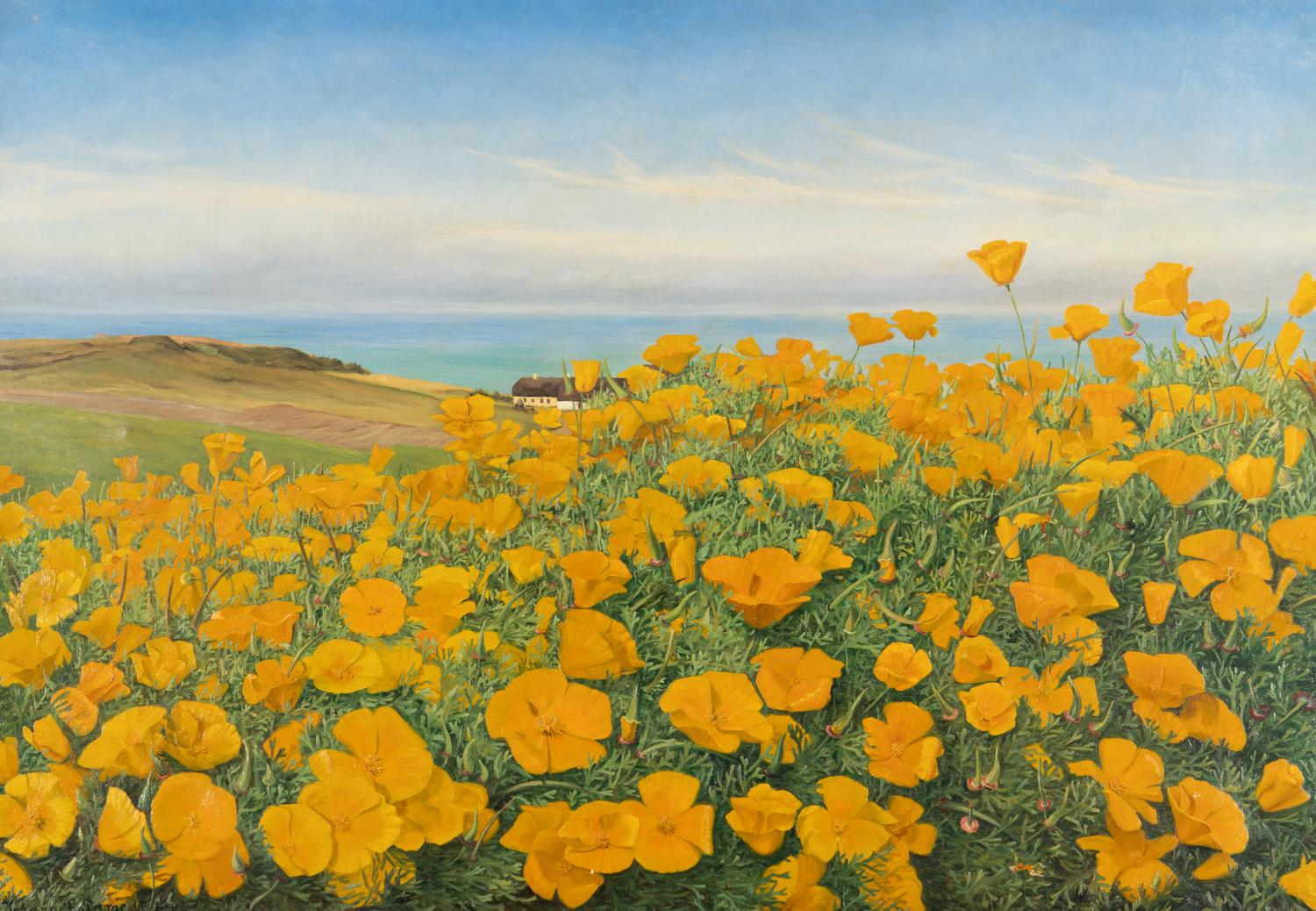 A Field of Buttercups by the Coast , 1902