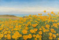 A Field of Buttercups by the Coast , 1902