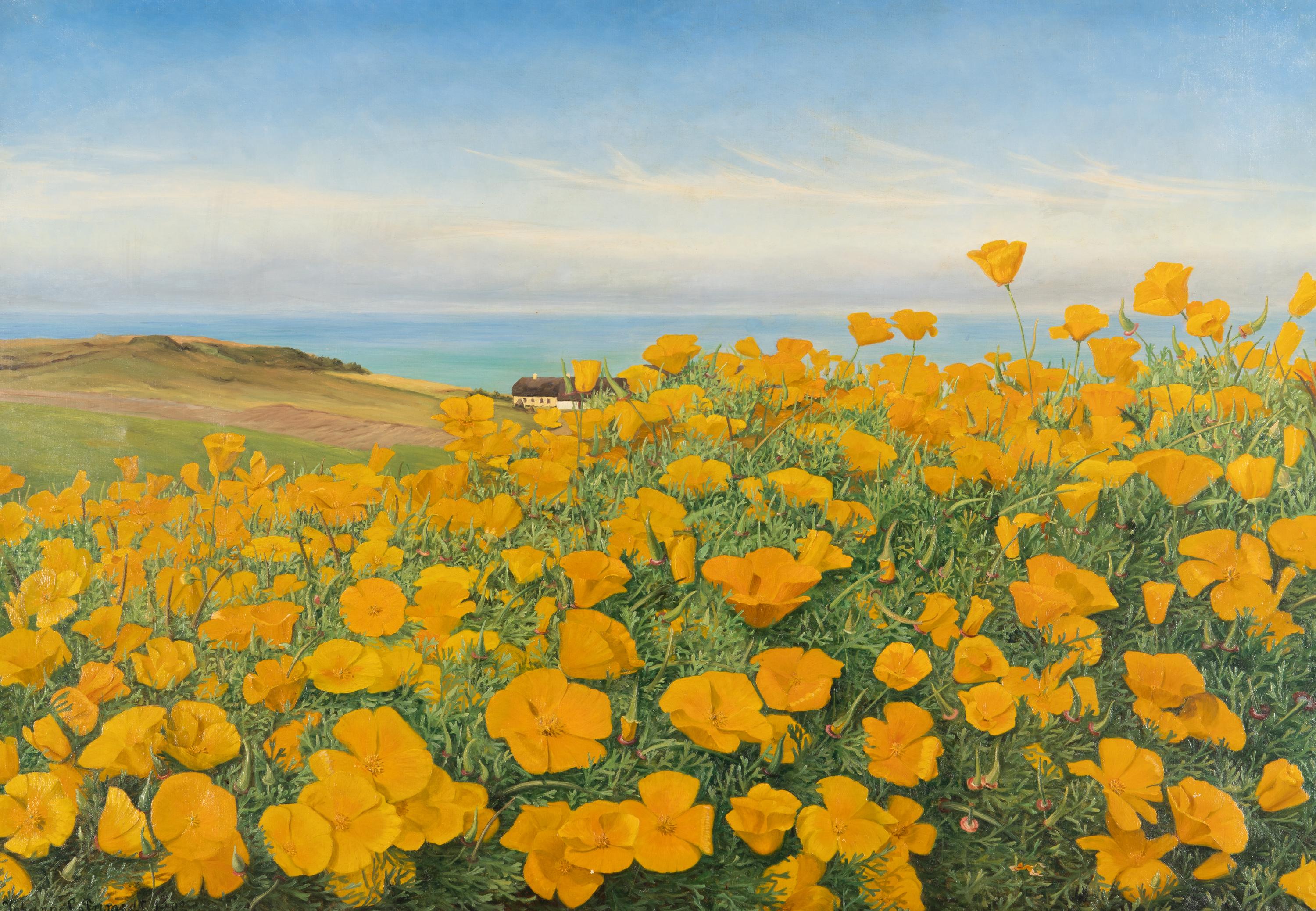 A Field of Buttercups by the Coast , 1902