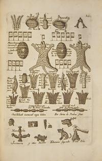 [Travel & Exploration] [Cortes, Hernan] Lorenzana, Francisco Antoni. Historia de Nueva-Espana, Escrita por su Esclarecido Conquistador Hernan Cortes...