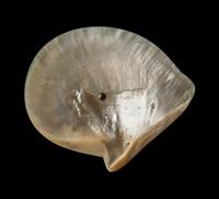 A Chinese Export Silver and Mother-of-Pearl Stem Plate