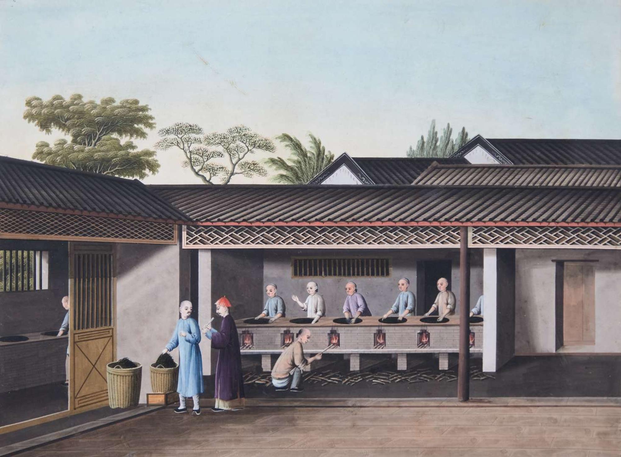 A group of five Chinese Export paintings depicting the manufacture of tea, first part 19th century 製茶圖一組五幅 十九世紀初