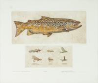 Two Fly Fishing Lithographs