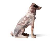 A Painted Terracotta Figure of a Dog