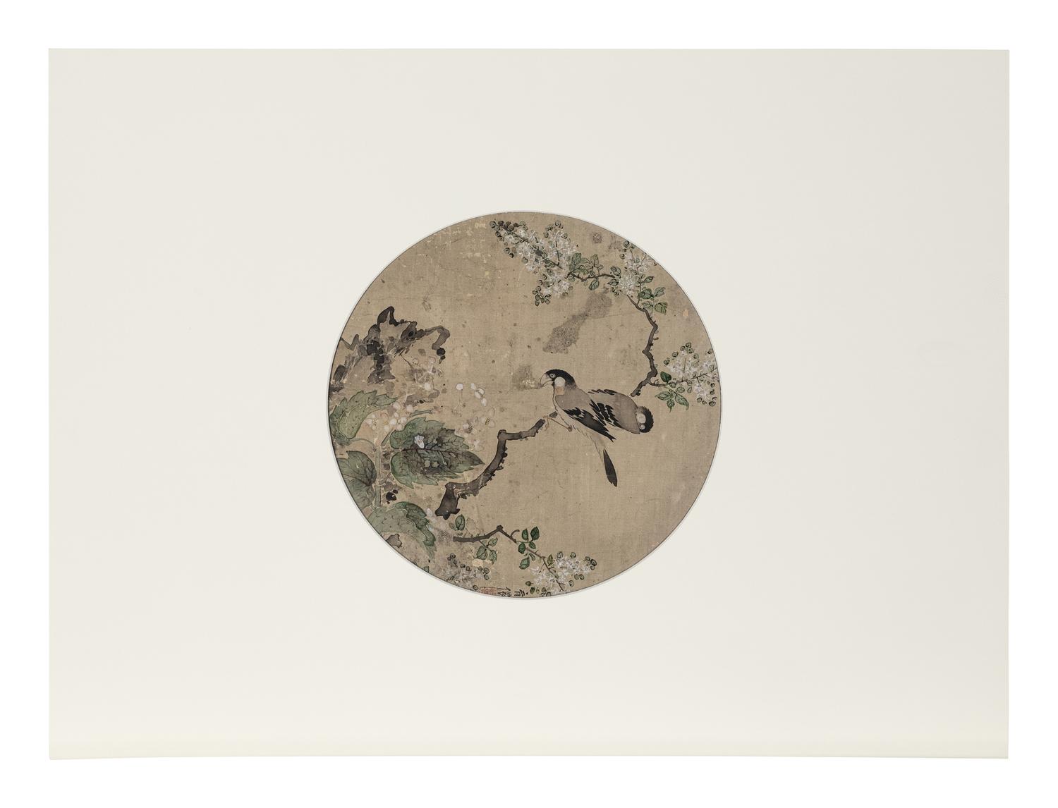 Five Chinese Paintings Depicting Birds and Flowers