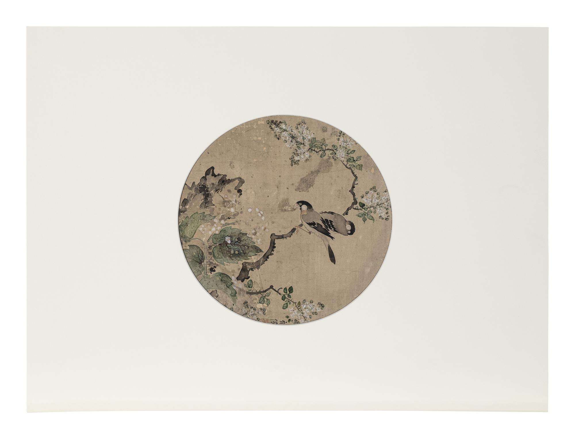 Five Chinese Paintings Depicting Birds and Flowers
