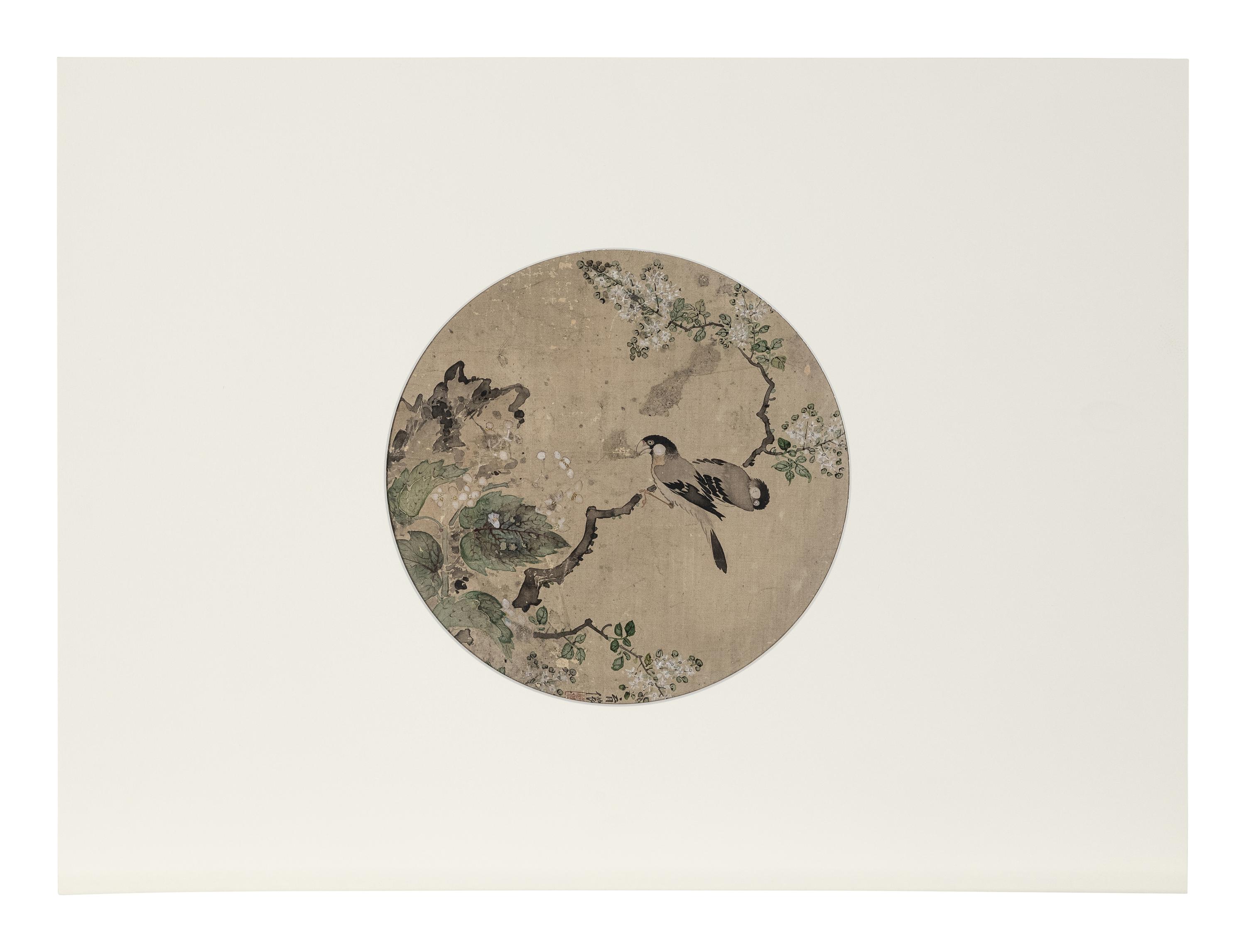 Five Chinese Paintings Depicting Birds and Flowers