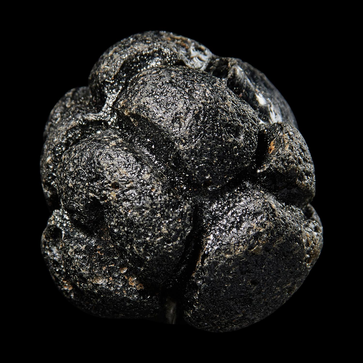 A Large Bicolite Tektite