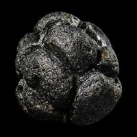 A Large Bicolite Tektite
