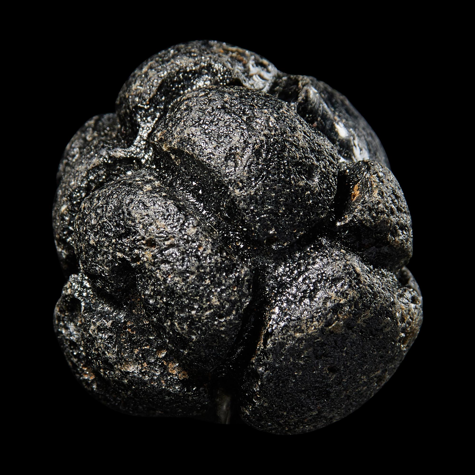 A Large Bicolite Tektite