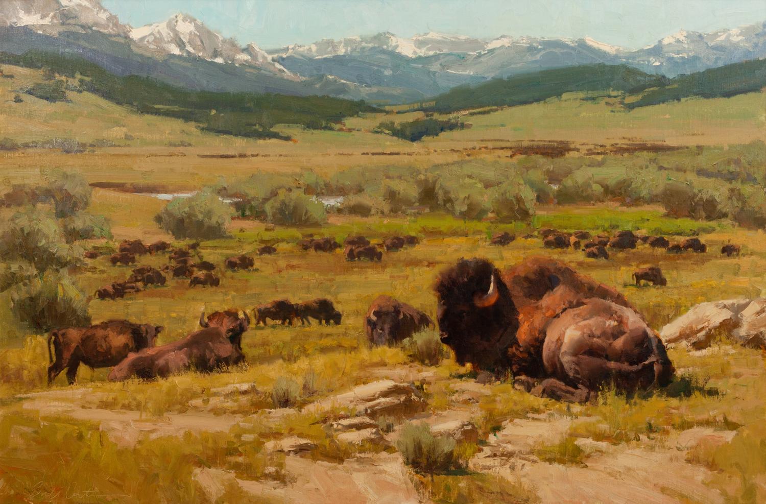 Montana Monarchs