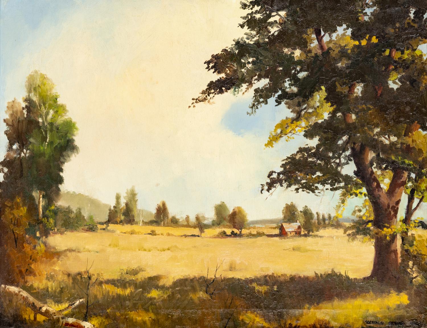 Landscape with Clearing