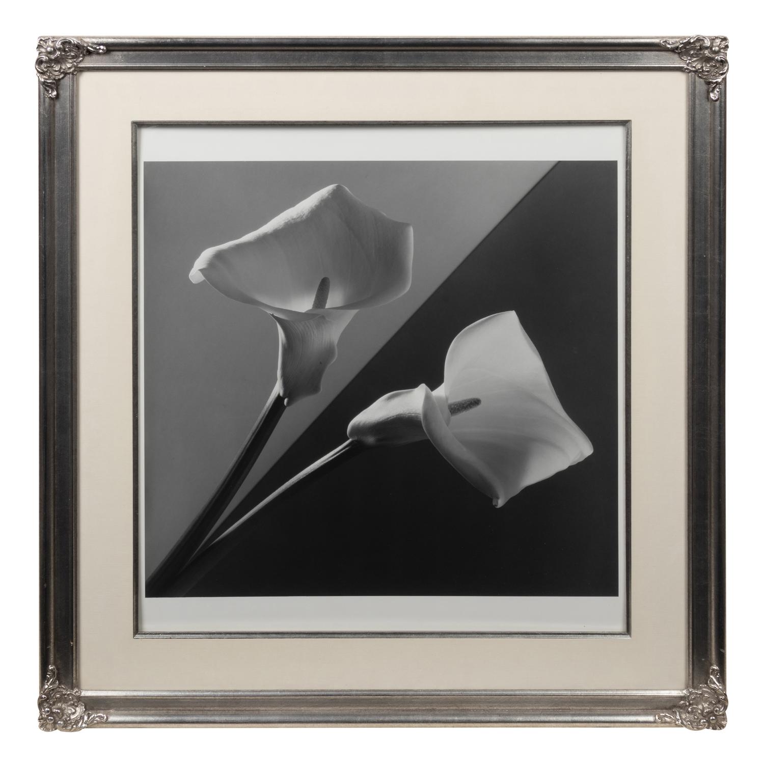 Calla Lilies