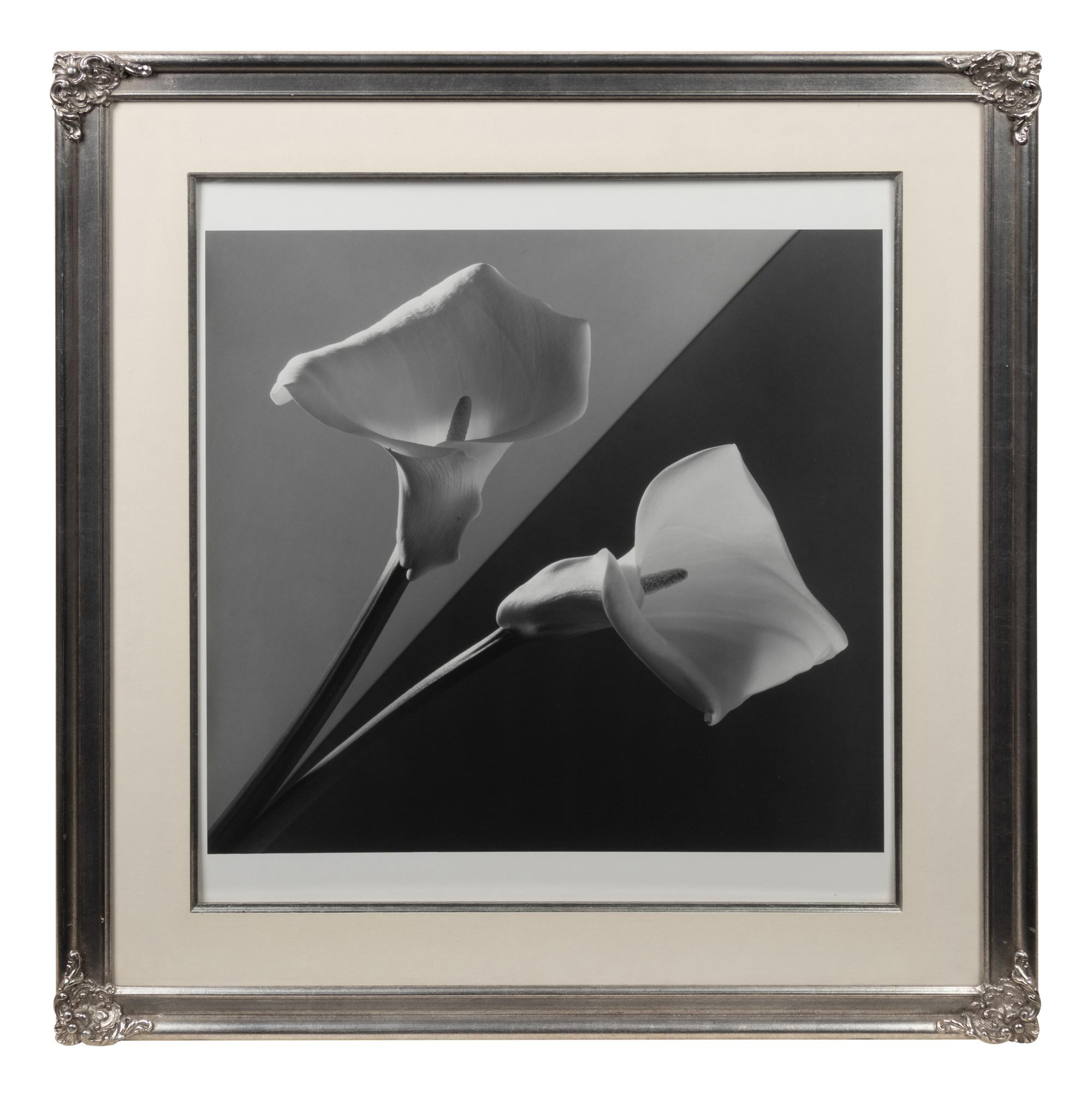Calla Lilies