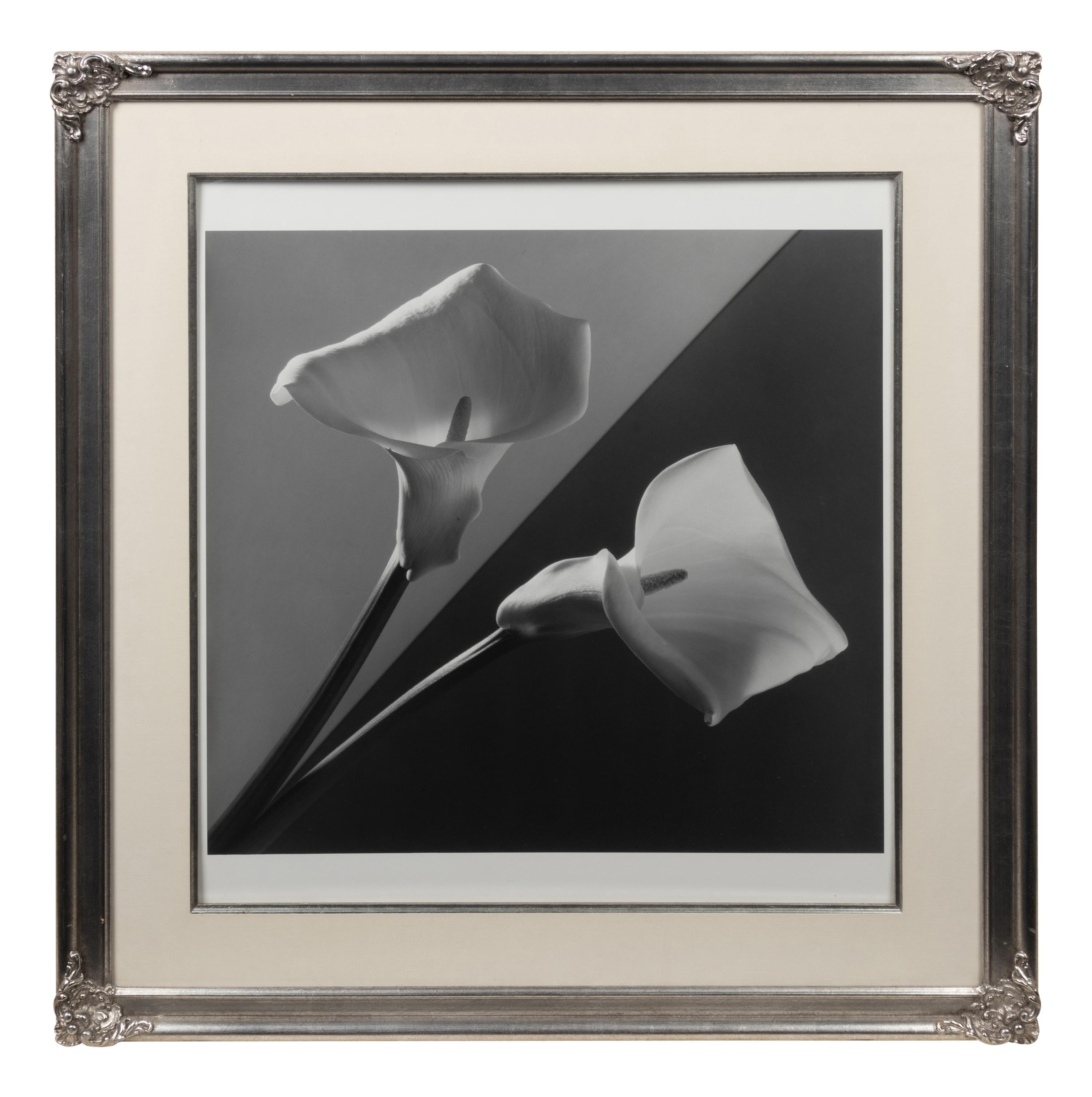 Calla Lilies