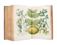 [NATURAL HISTORY]. WEINMANN, Johann Wilhelm (1683-1741). Phytanthoza - Iconographia, oder eigentliche Vorstellung etlicher tausend, wo wohl einheimisch als Ausländischer…. Regensburg: Hieronymo Lenz, 1739.