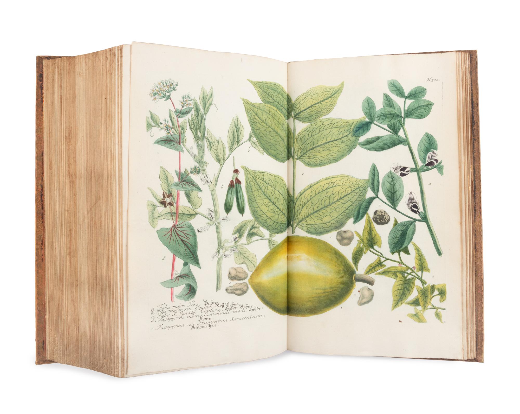 [NATURAL HISTORY]. WEINMANN, Johann Wilhelm (1683-1741). Phytanthoza - Iconographia, oder eigentliche Vorstellung etlicher tausend, wo wohl einheimisch als Ausländischer…. Regensburg: Hieronymo Lenz, 1739.