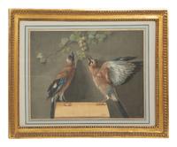 Two Birds and a Cluster of Grapes