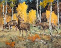 Mule Deer In The Aspen