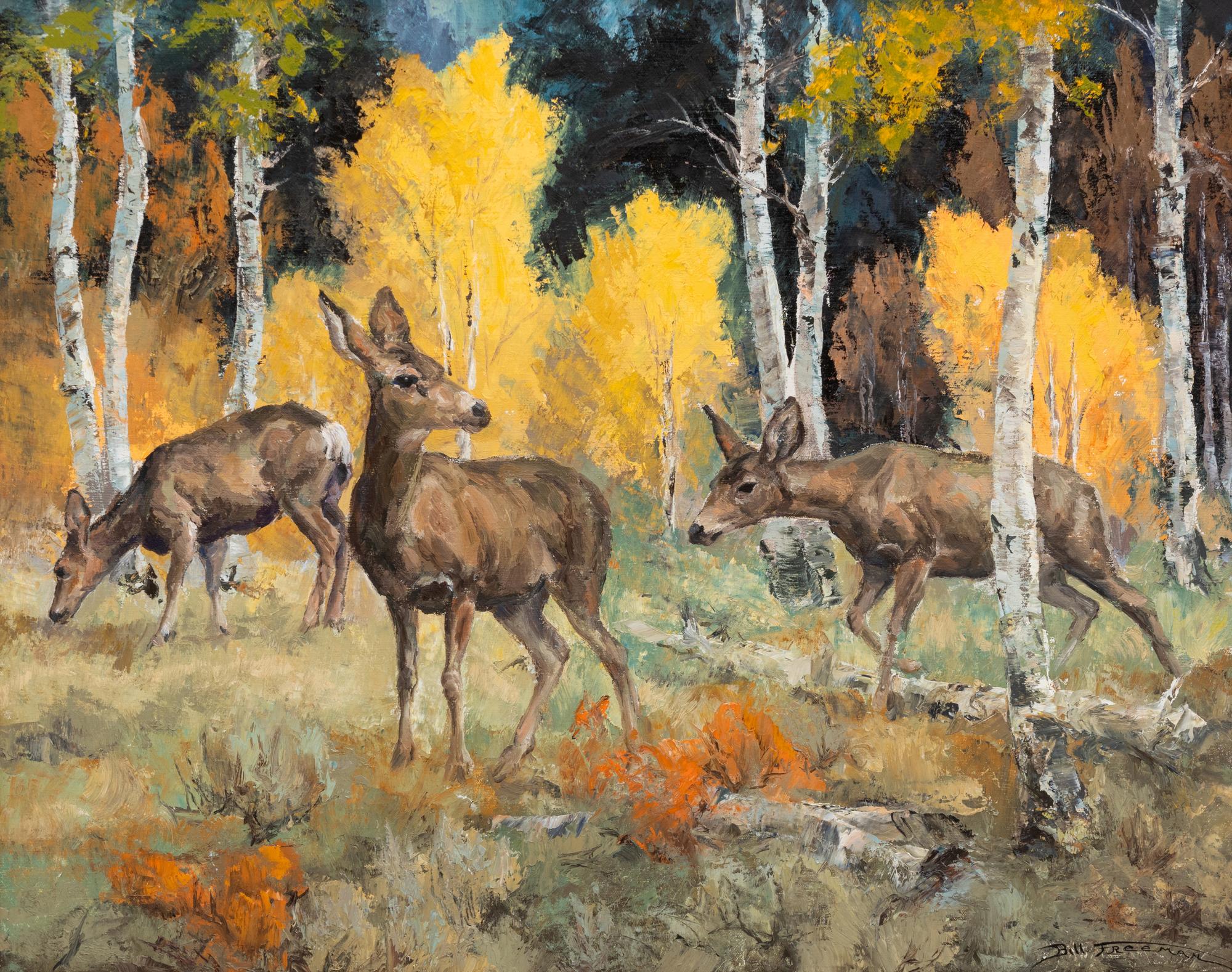Mule Deer In The Aspen