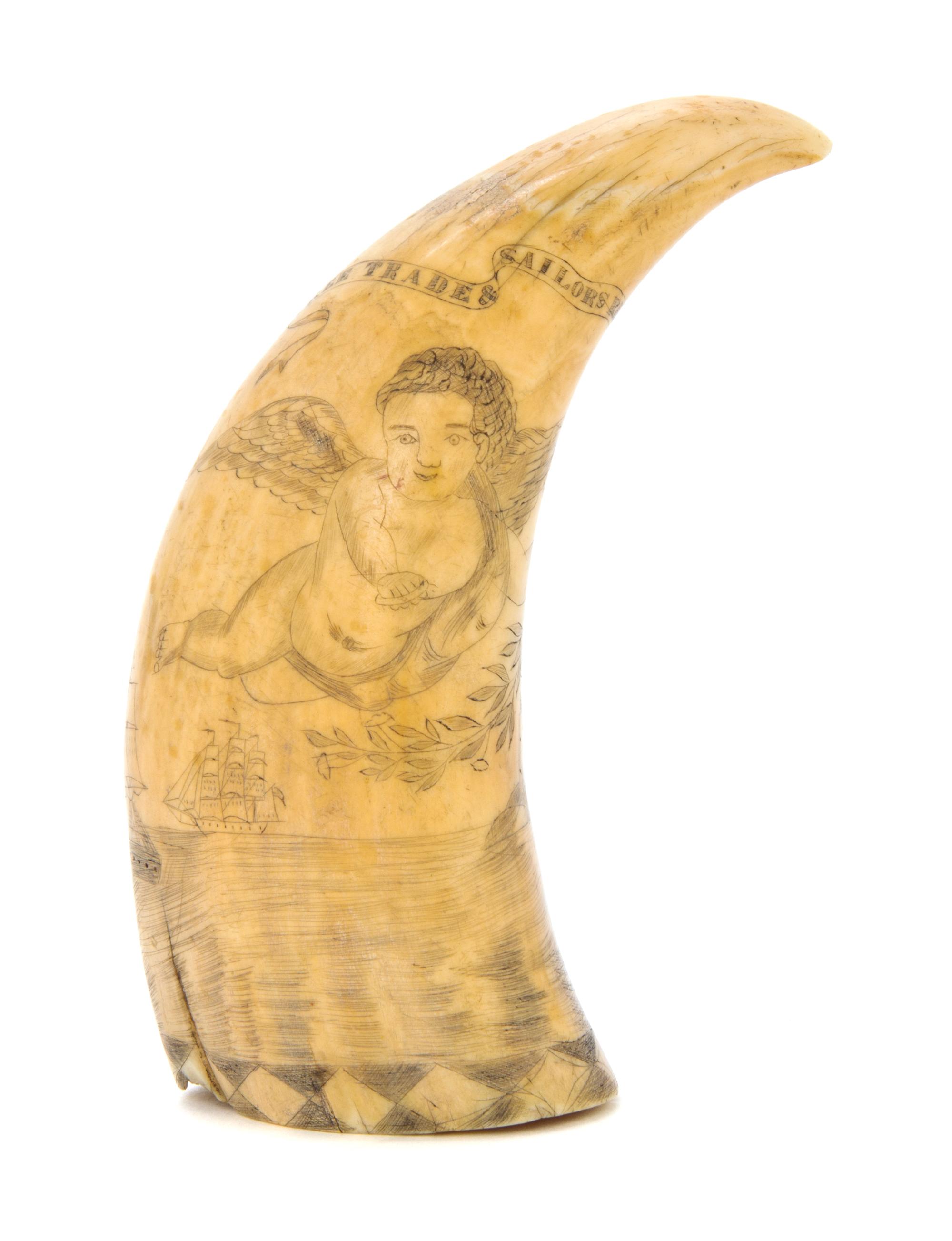 An American Scrimshaw Whale's Tooth, Length 5 1/4 inches.