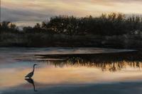 Great Blue Heron , 2003