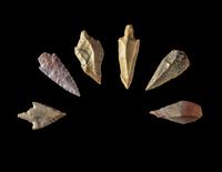 101 Neolithic Flint Points