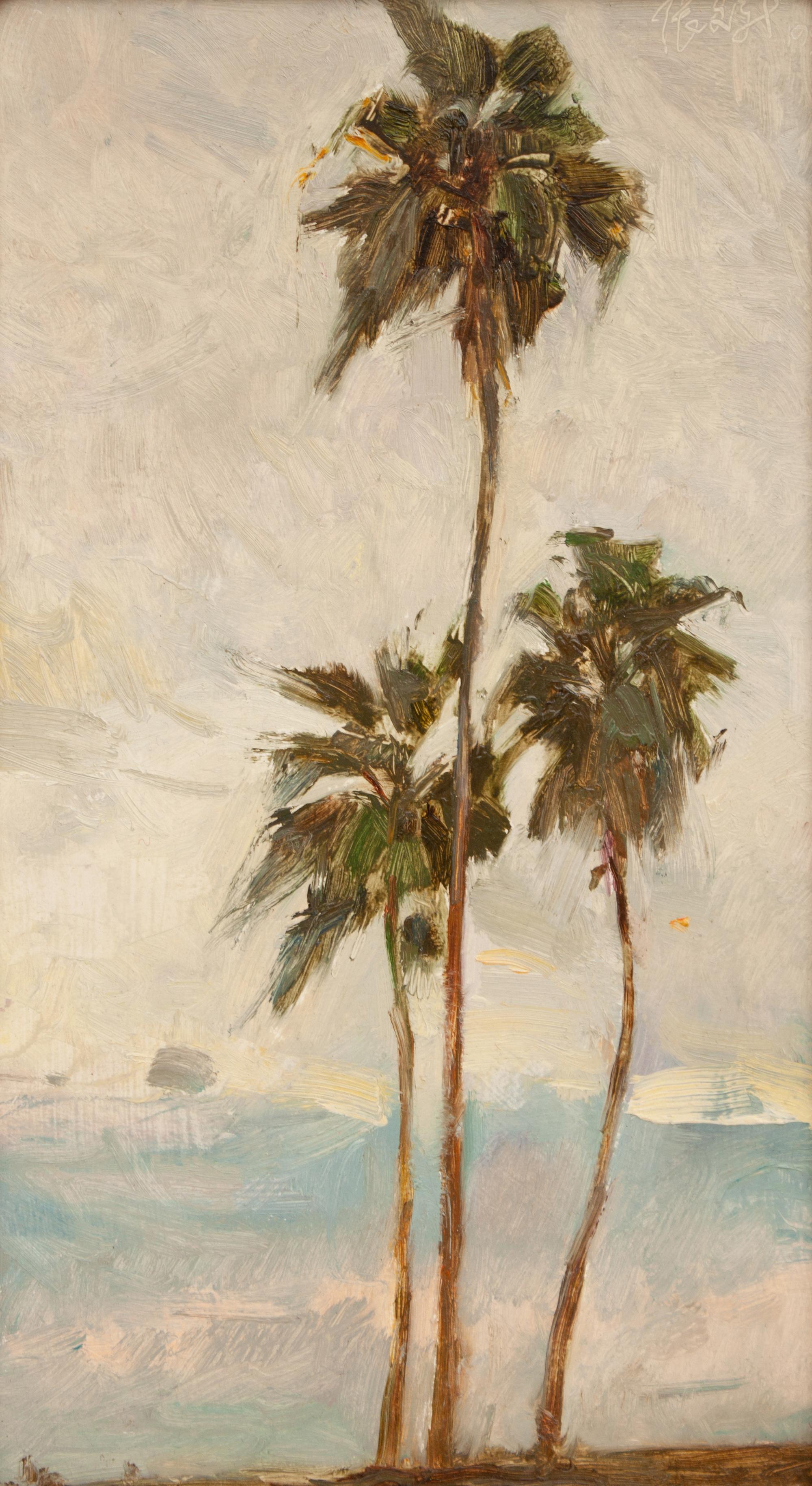 Palm Trees
