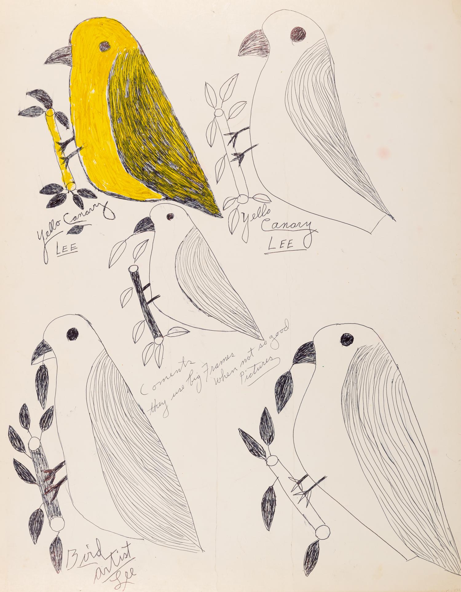 John John and Yellow Canary