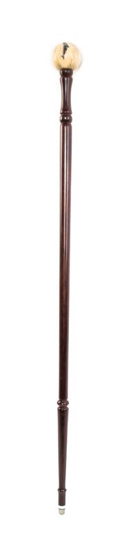 An American Ivory Handled Cane, Height of handle 2 1/4 x length overall 35 1/2 inches.