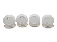 A Set of Eight Royal Copenhagen Flora Danica Porcelain Luncheon Plates