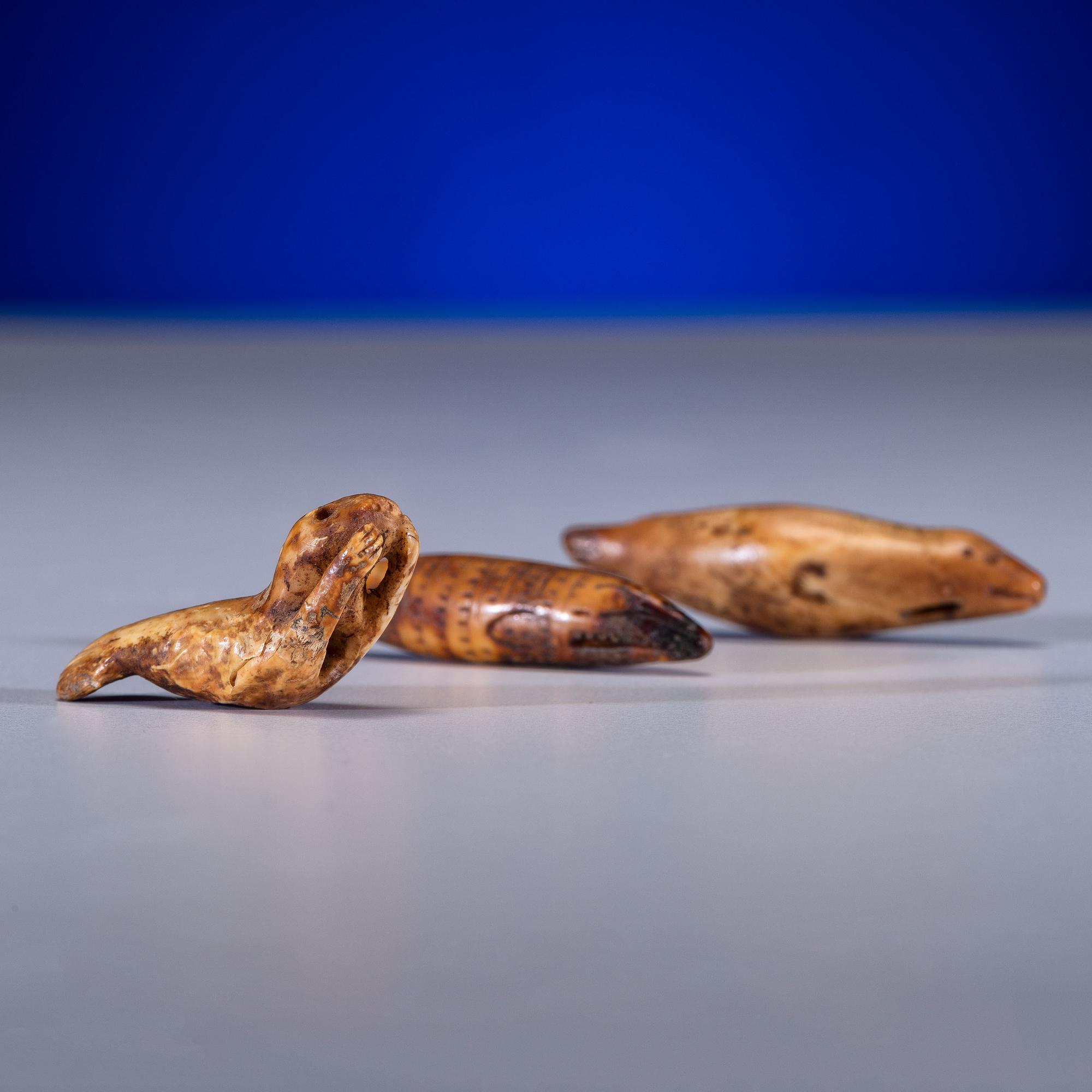 Iñupiat Fossilized Walrus Ivory Toggles