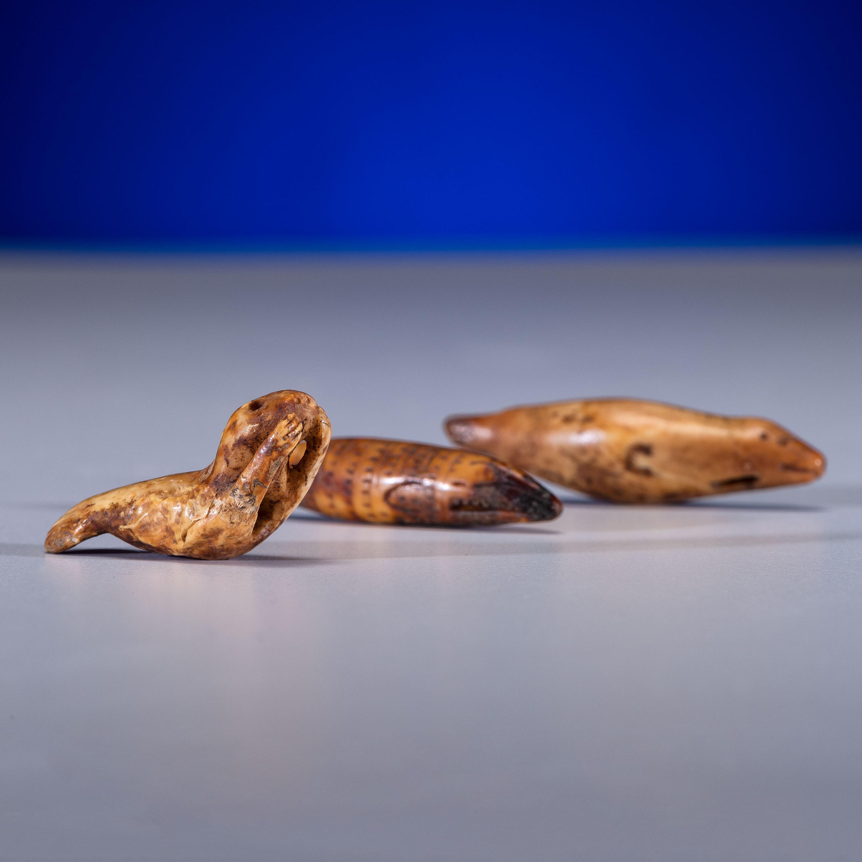 Iñupiat Fossilized Walrus Ivory Toggles