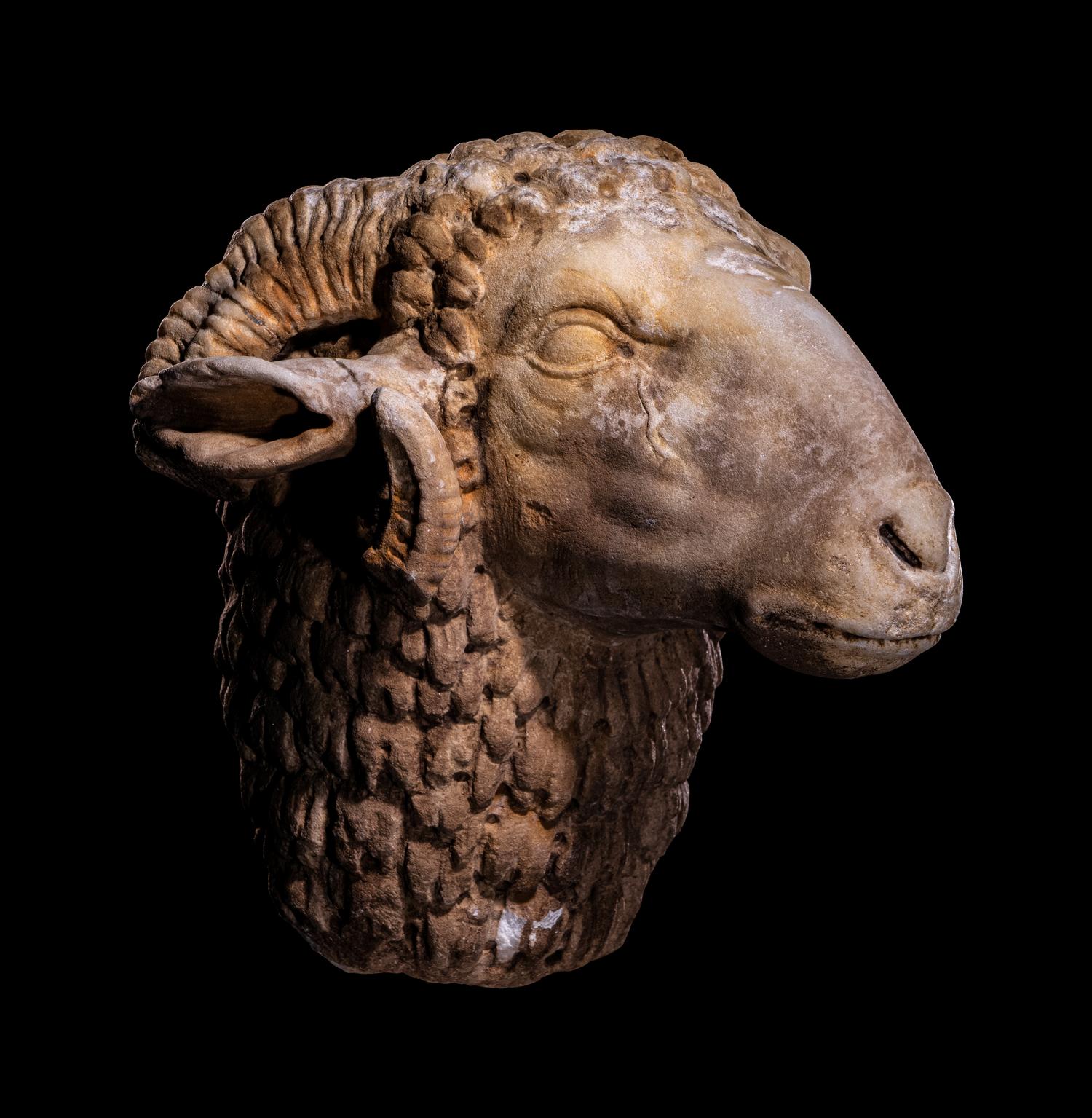 A Roman Marble Head of a Ram