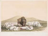 George Catlin (American, 1796-1872)