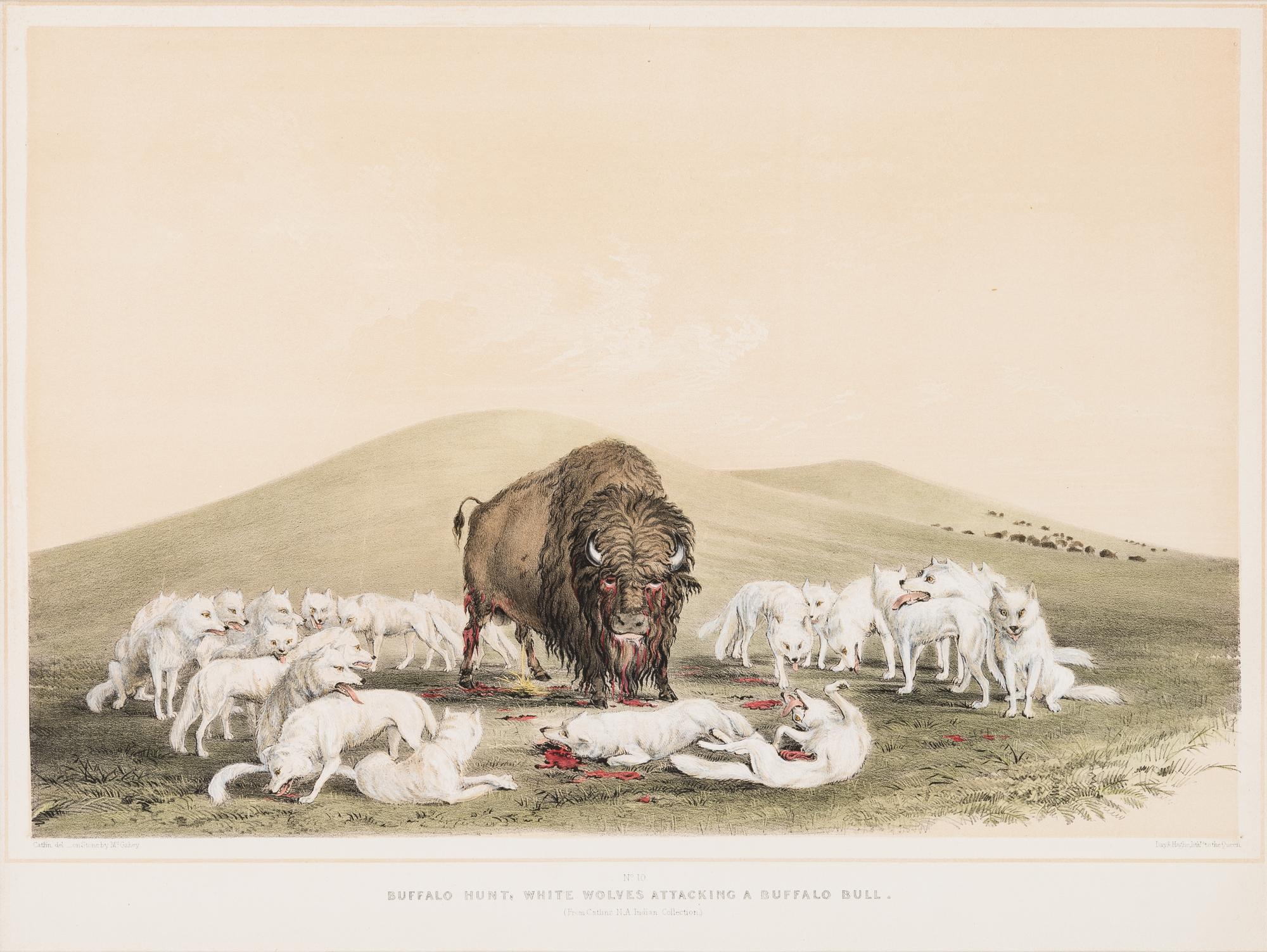 George Catlin (American, 1796-1872)