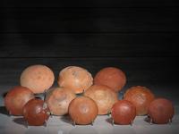 Isleta Polychrome Pottery Plates