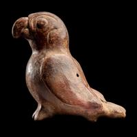 A Moche Terracotta Parrot Whistle