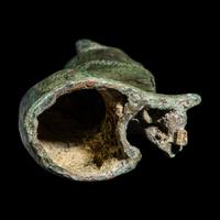 An Egyptian Bronze Cat