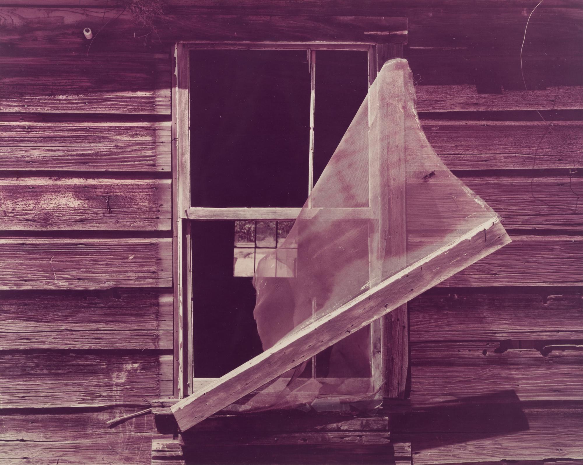 Deserted Shack