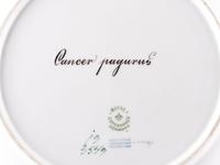 A Set of Twelve Royal Copenhagen Parcel Gilt Porcelain Fish Plates