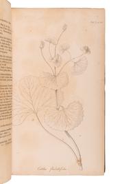 PURSH, Frederick Traugott (1774-1820). Flora Americae Septentrionalis . London: for James Black and Son, 1816.