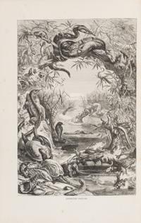 [Natural History] Wood, John George. The Illustrated Natural History