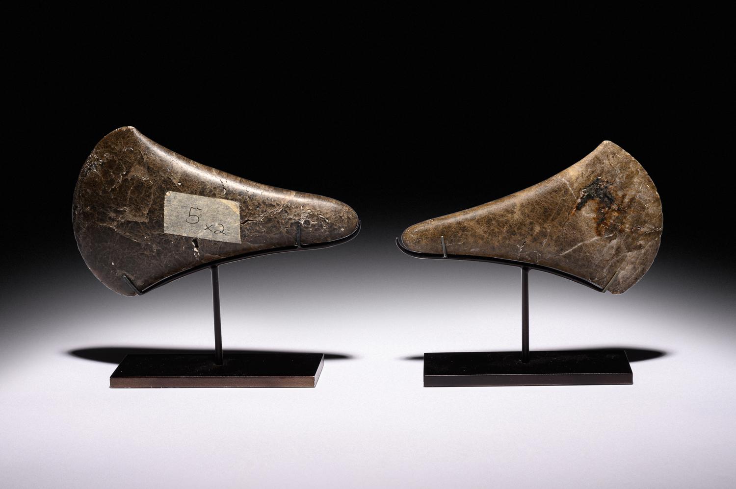 Two Early European Stone Axe Heads