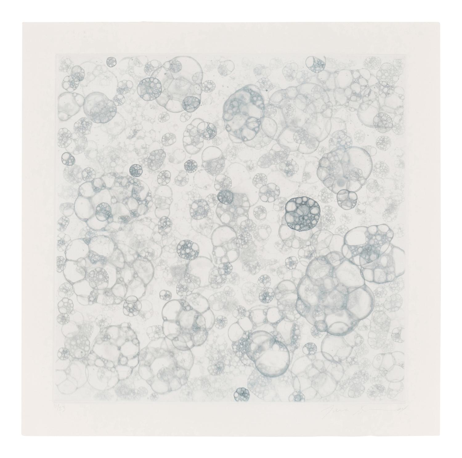 Untitled 1-V (complete set of 5), 2004