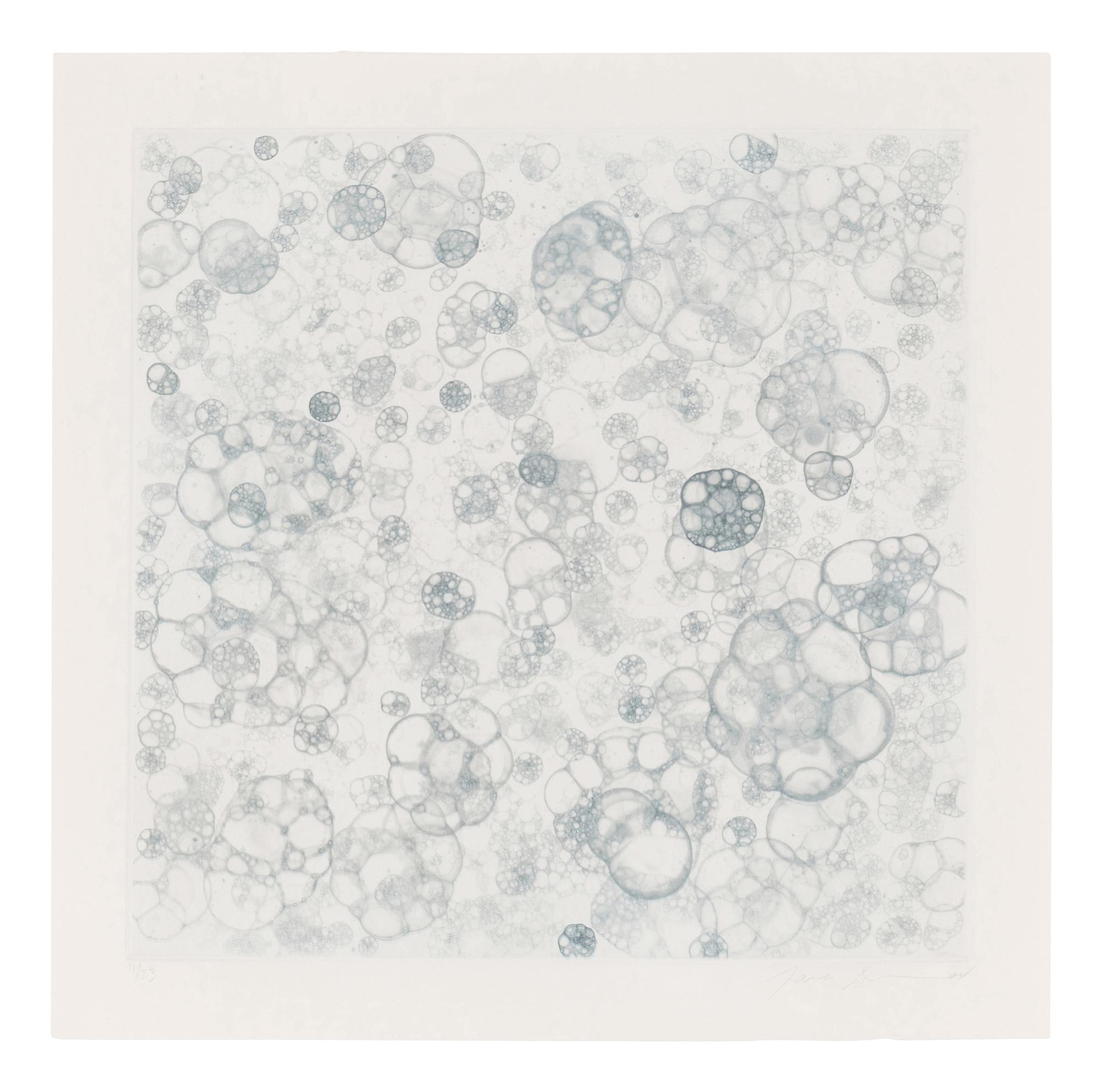Untitled 1-V (complete set of 5), 2004