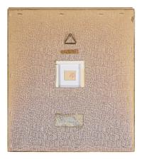 Untitled (Monkey)
